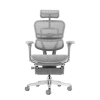 כיסא Ergohuman pro תוכנן במיוחד עבור משתמשים שזקוקים לכיסא משרדי נוח לשימוש אינטנסיבי.