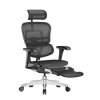 כיסא Ergohuman pro תוכנן במיוחד עבור משתמשים שזקוקים לכיסא משרדי נוח לשימוש אינטנסיבי.