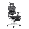 כיסא Ergohuman pro תוכנן במיוחד עבור משתמשים שזקוקים לכיסא משרדי נוח לשימוש אינטנסיבי.